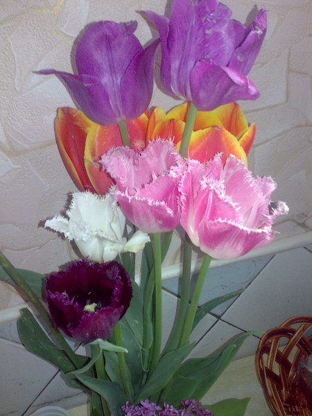 Марина Бояркина | Саранск