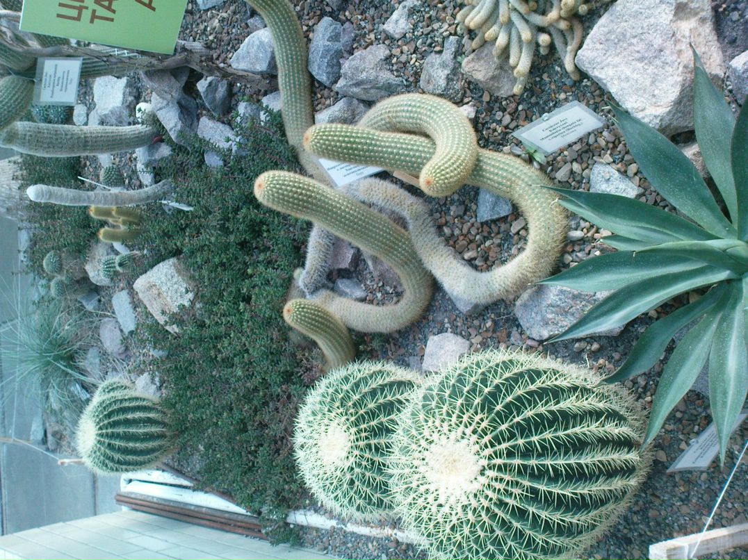 Pushing Limts | Киев