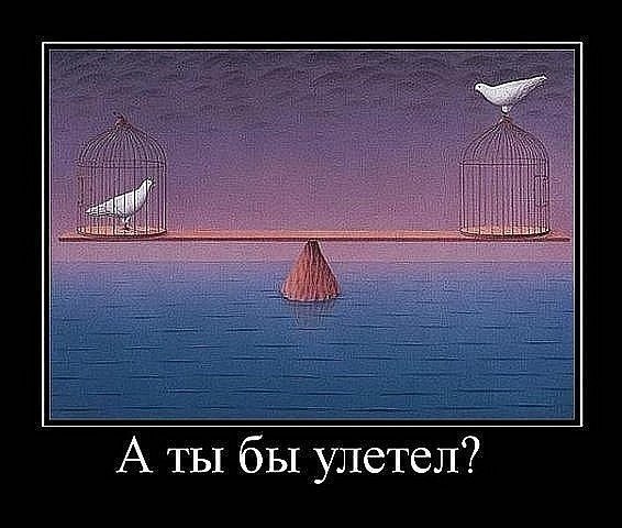 Артем Конев | Тюмень