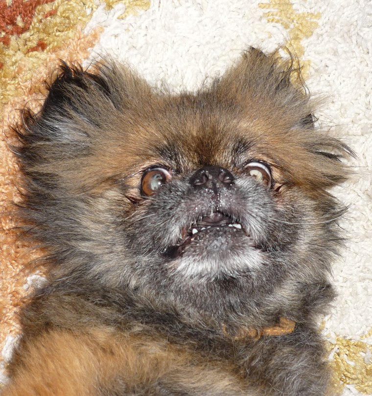 Олеся Чакушина | Астана / Нур-Султан