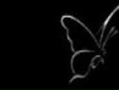 Алёна Высоцкая | Курахово