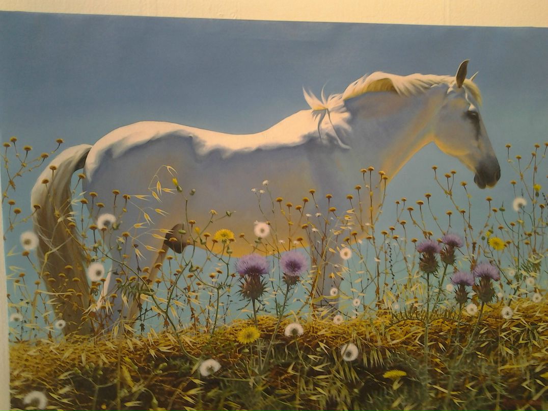 Андрей Руденко | 