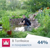 №29, Илья Школьник, Санкт-Петербург №29, Илья Школьник, Санкт-Петербург