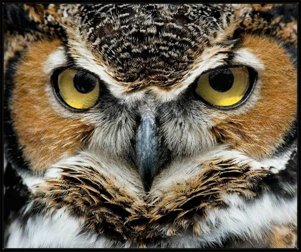 Марина Куклина | Москва