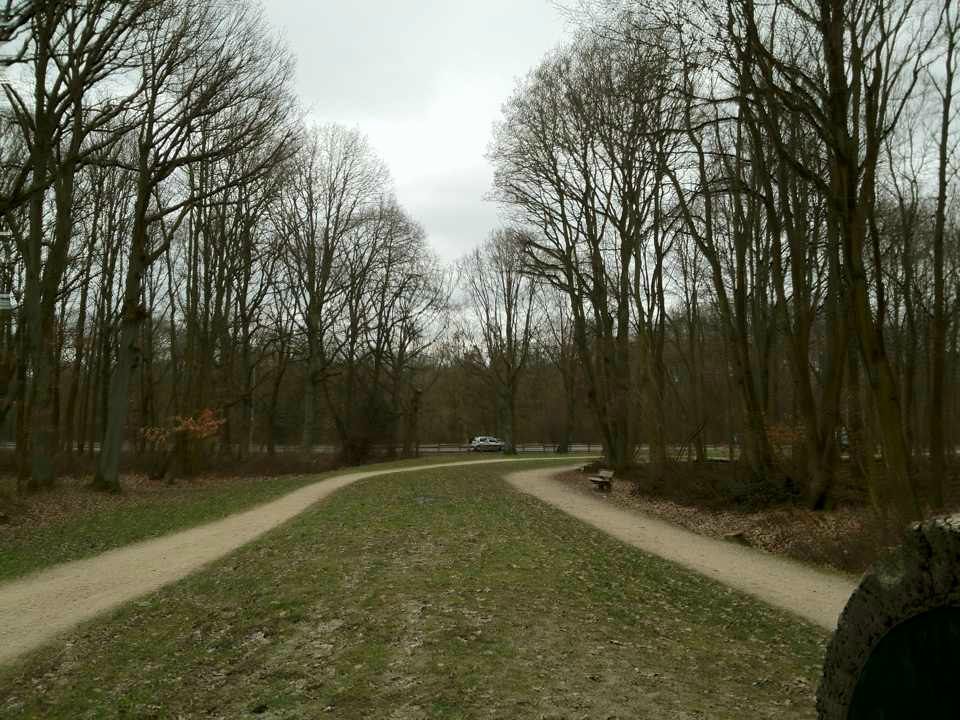 Катюша Рукавишникова (Esmariel) | Москва