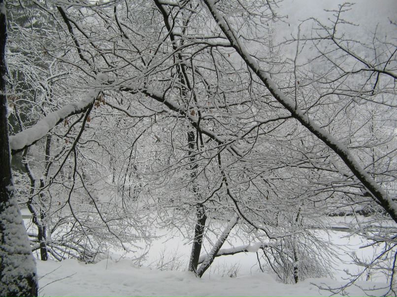 Александр Нечипорук | Киев