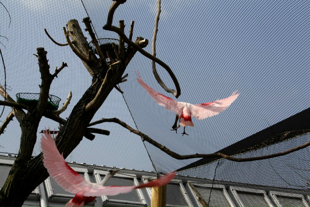 Евгения Прок | Санкт-Петербург