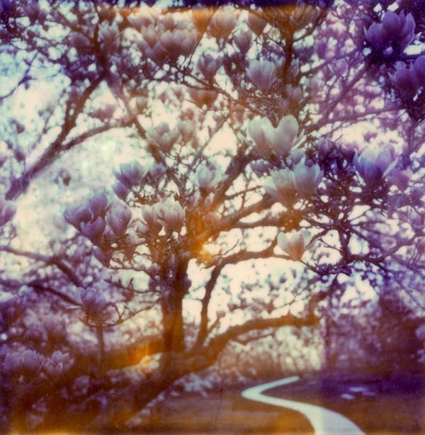 Анна Щеголькова | Москва