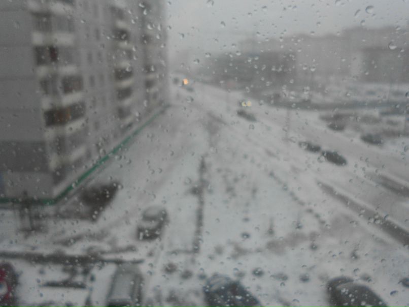 Наташа Папулина | 