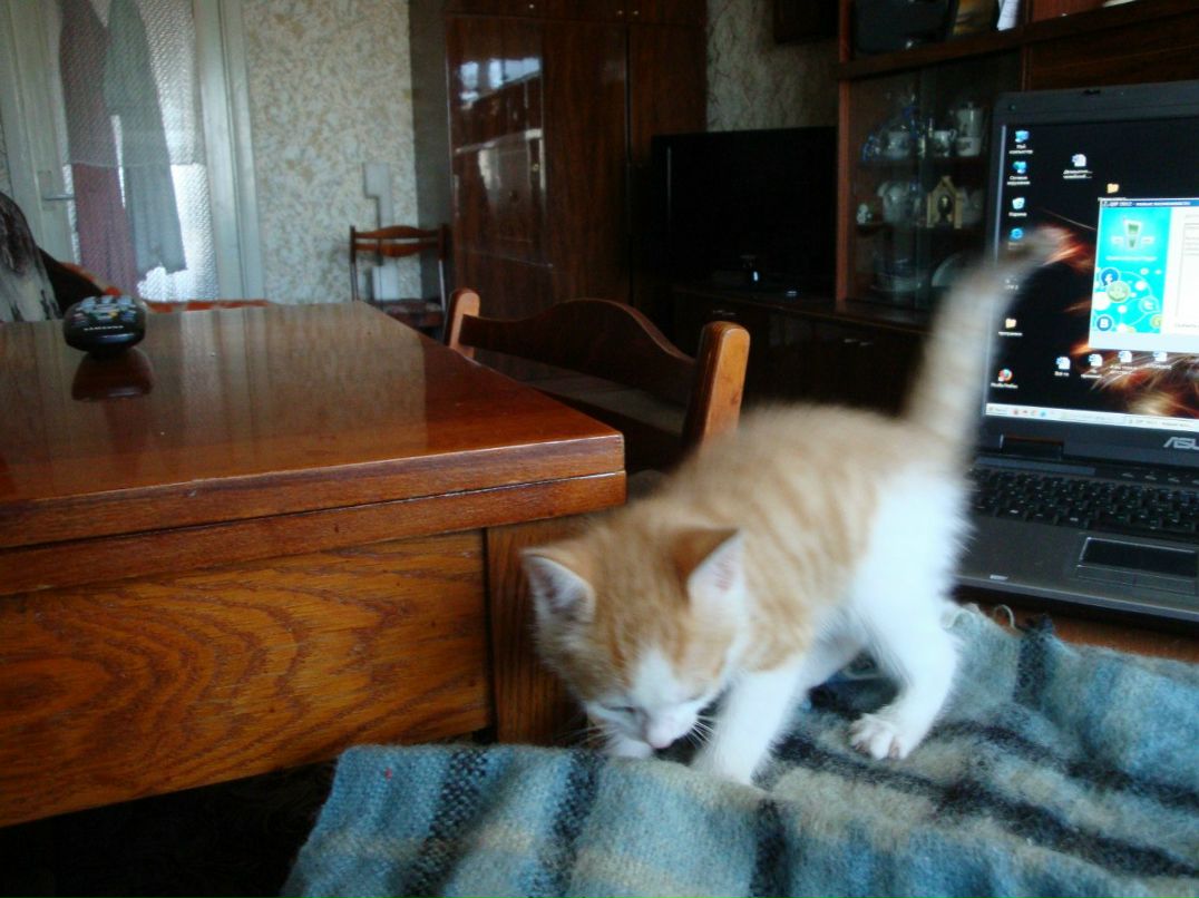 Татьяна Быкова | 