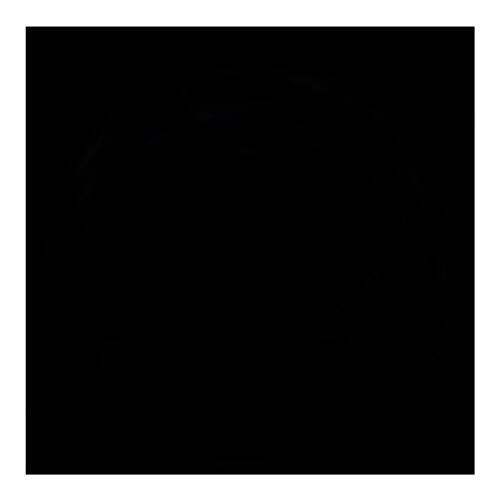 Ростислав Белинский Олегович | Запорожье