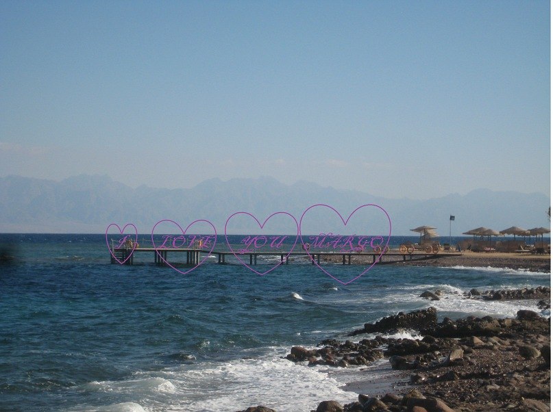 Максим Полозов | 