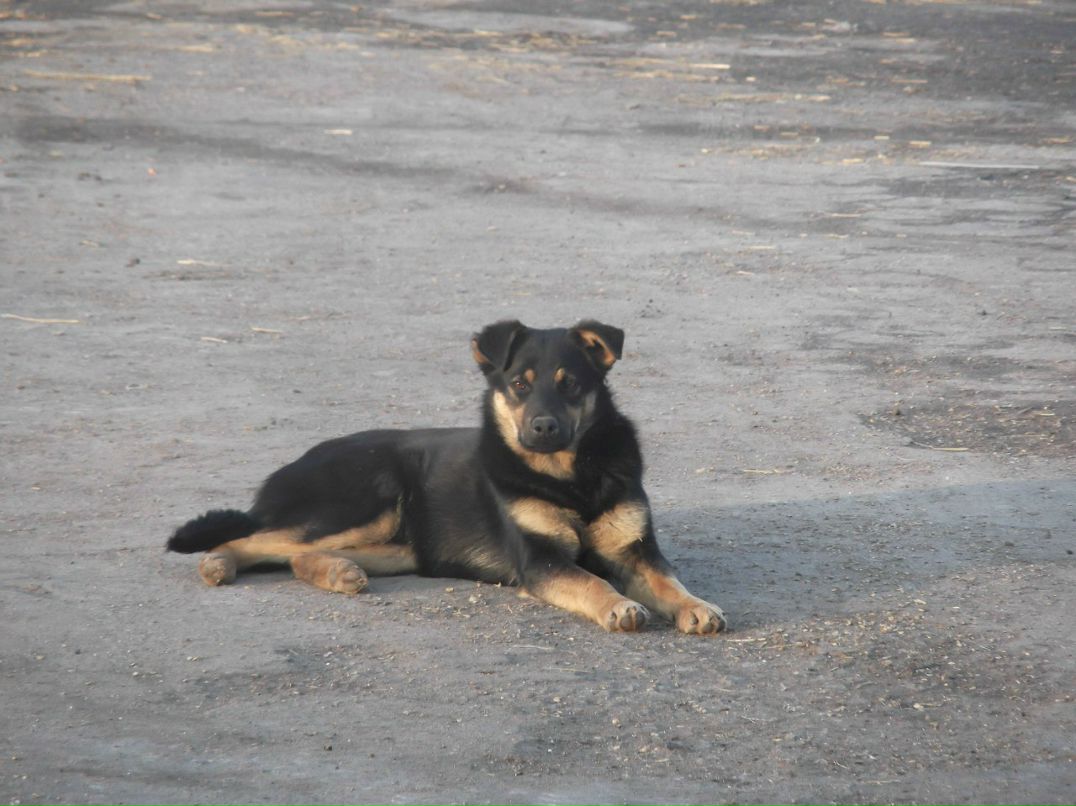 Валерій Ясиновий | Малая Антоновка