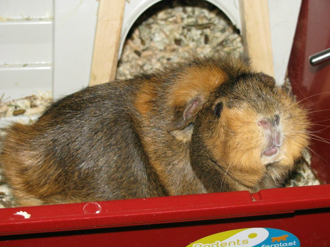 Алина Логинова | Липецк