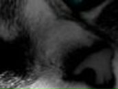 Дмитрий Киреев | Удачный