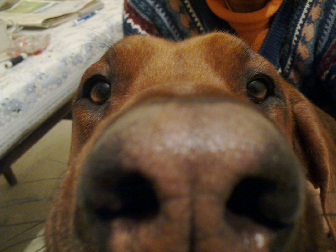 Alik Fedchenko | Харьков