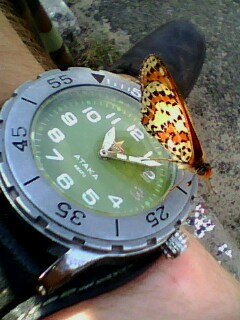 Мыкола Бусыгин | 