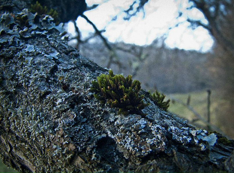 Павел Шпильман | Москва