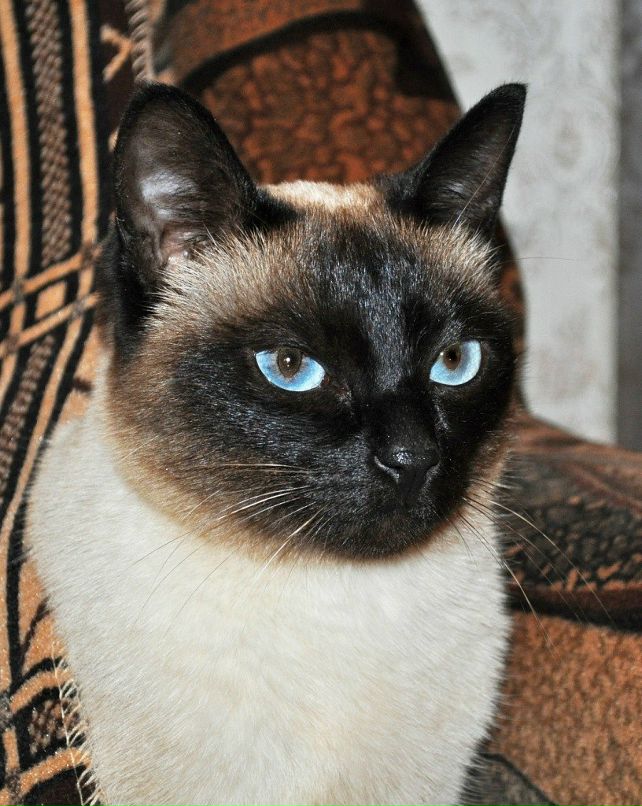 Эллина Немазанникова | Северодвинск