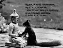 Фотография Юлия Мазаратий