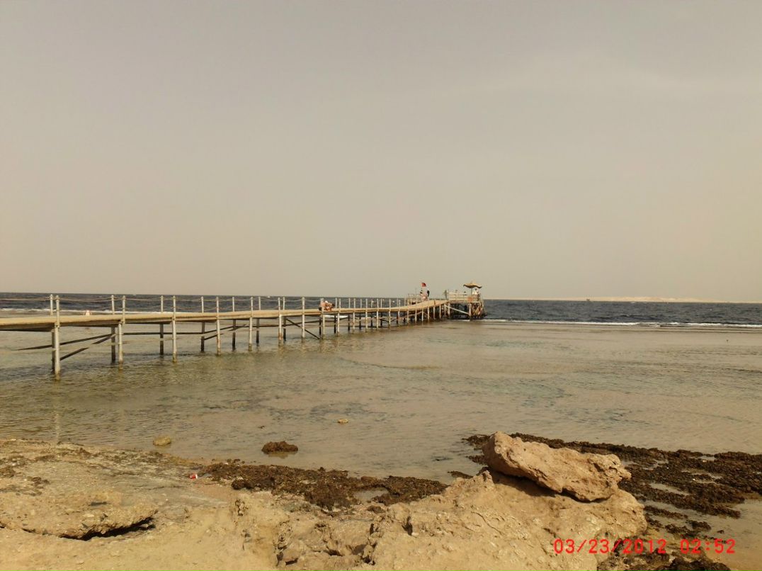 Юрик Синица | Киев