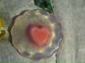 №13 Никита Булгаков 14.12.1989: профиль, фото, статус - ВКонтакте №13 Никита Булгаков 14.12.1989: профиль, фото, статус - ВКонтакте