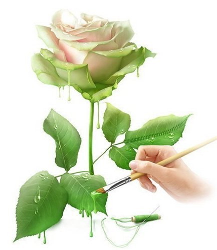 Наталья Чихира | Санкт-Петербург