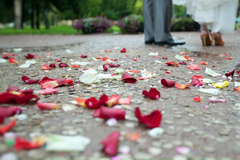 Светлана Демуцкая | Санкт-Петербург