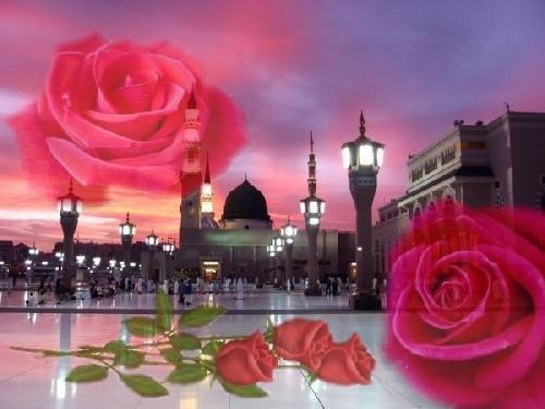 №7, Зубайд Кабутов, Gwangju №7, Зубайд Кабутов, Gwangju