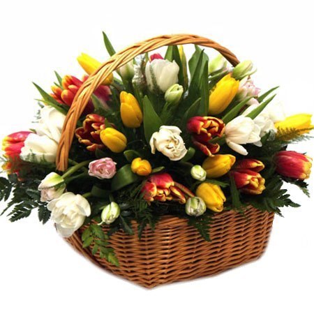 №91, Светлана Волкова, Тула №91, Светлана Волкова, Тула