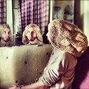 №15, Дмитрий Гамалия, Санкт-Петербург, Россия №15, Дмитрий Гамалия, Санкт-Петербург, Россия