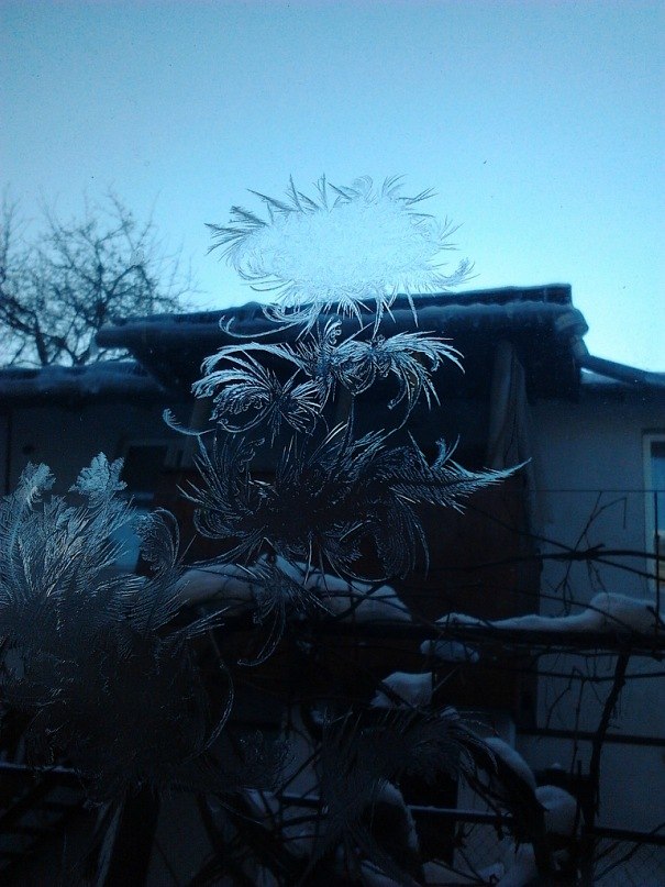 Иванна Бжезинская | Киев