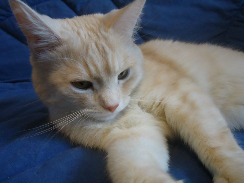 Люба Трухачева | Москва