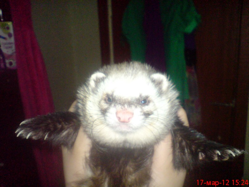 Руслан Zzz | Нижнекамск