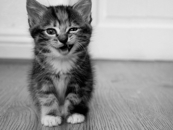 Ирина Янченко ♥○♥ | 