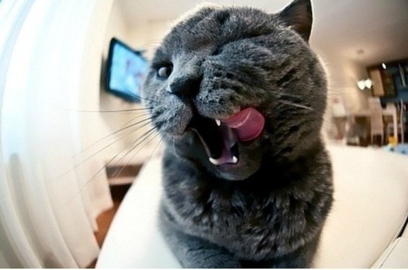 Паша Котиков | Port-au-Prince