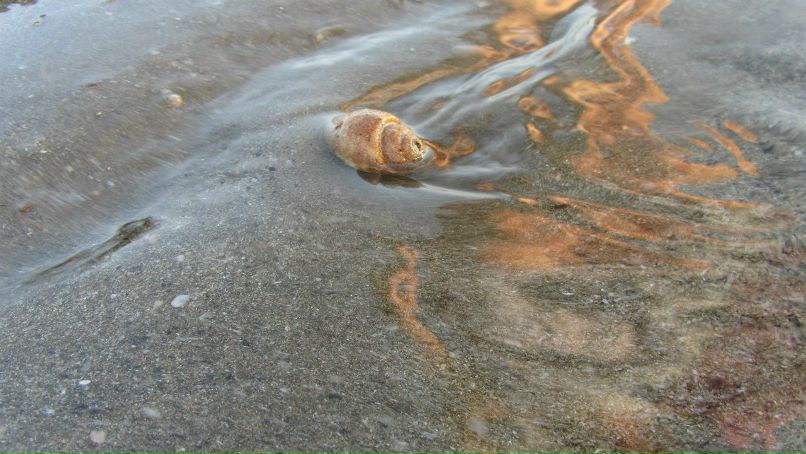Екатерина Бричкина | Москва