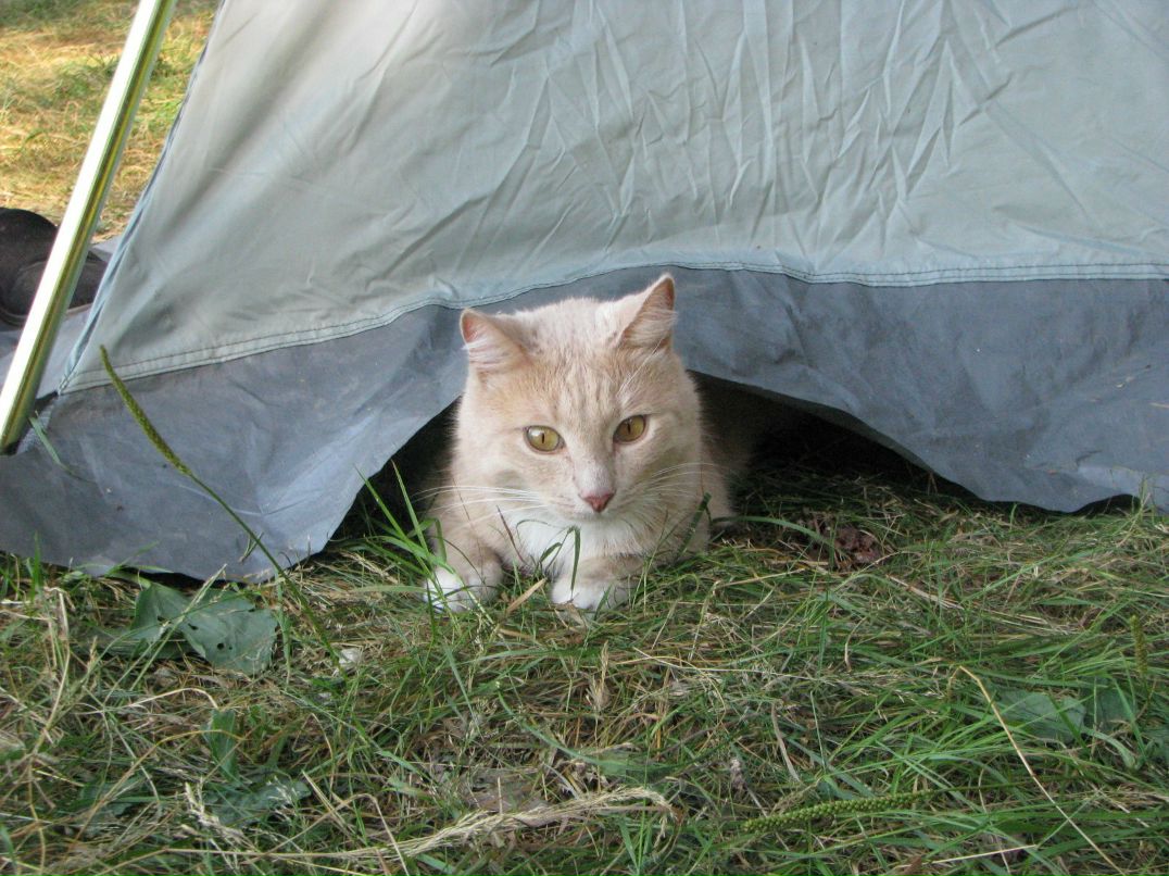 Катя Готина | Москва