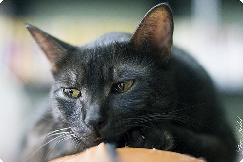 №132, Алексей Запольский-Довнар, 40 лет, Минск №132, Алексей Запольский-Довнар, 40 лет, Минск