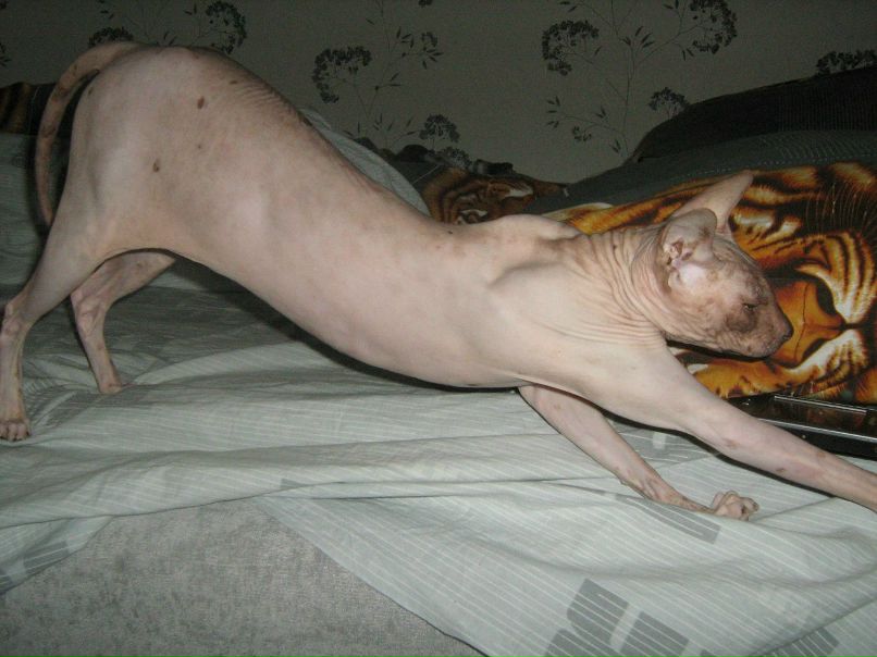 Кристина Сенчугова ♥^√V''^√\√V''^√\♥ | Владимир