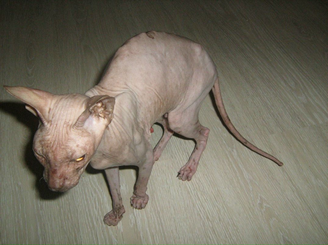 Кристина Сенчугова ♥^√V''^√\√V''^√\♥ | Владимир