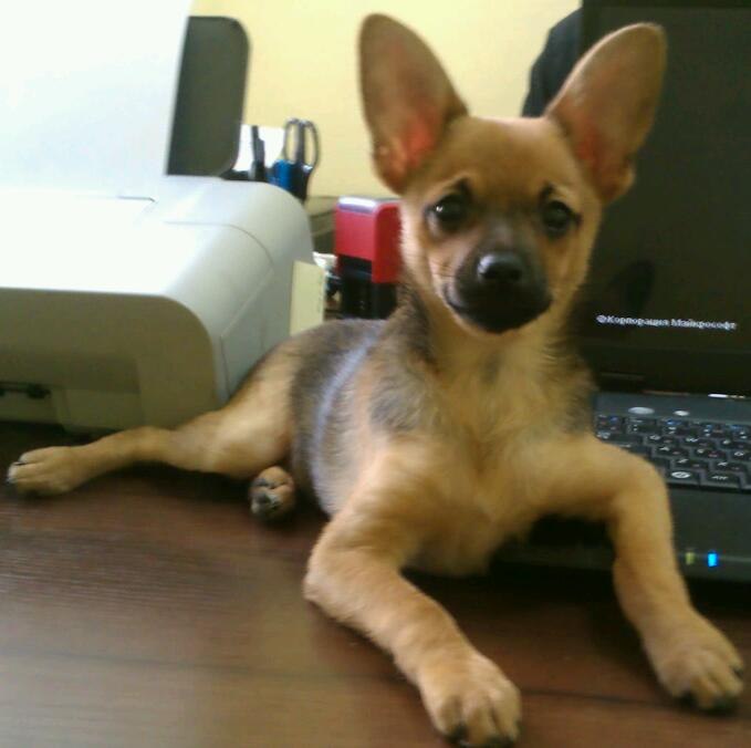 Юлія Франчук | Киев