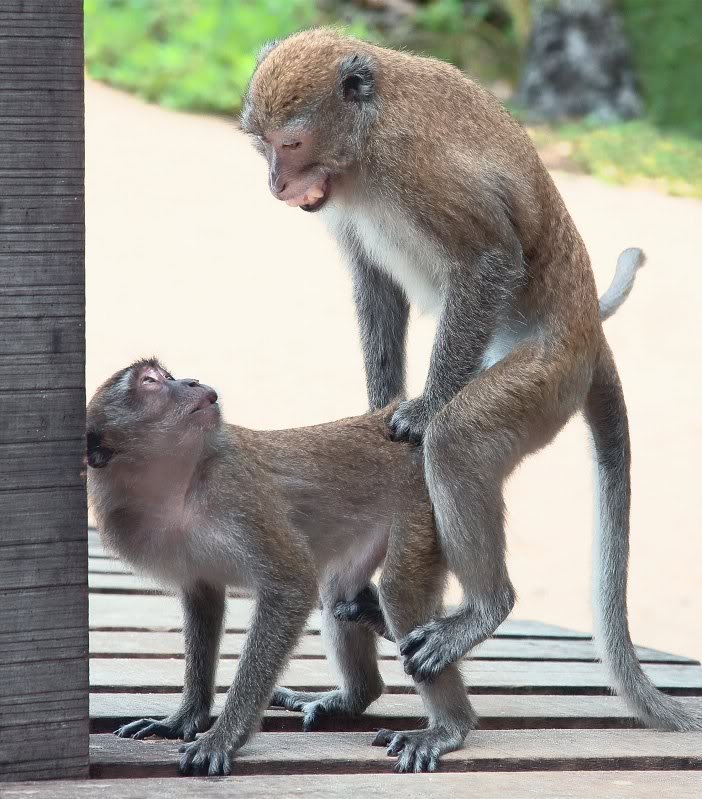 Сергей Дрёмов | Limón