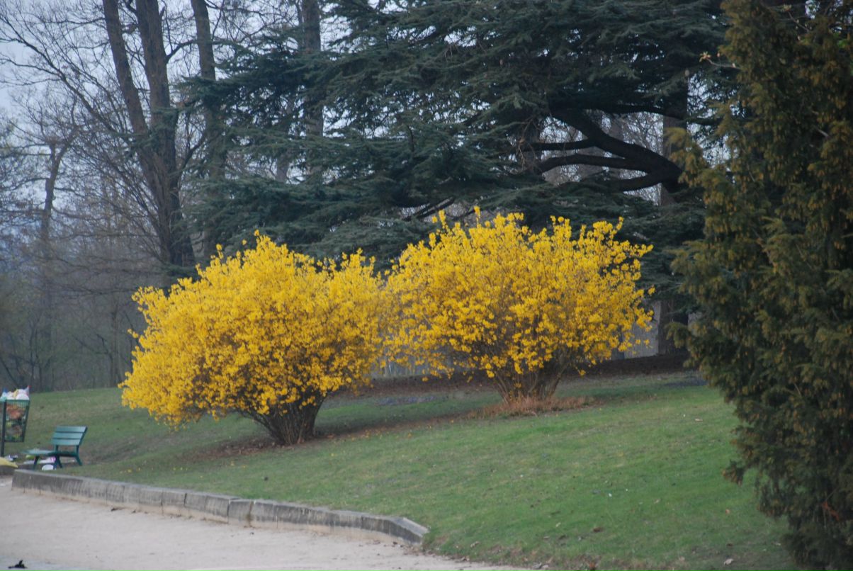 Катя Вострикова | Санкт-Петербург