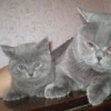 Аватар: Jhgfds Hgfd