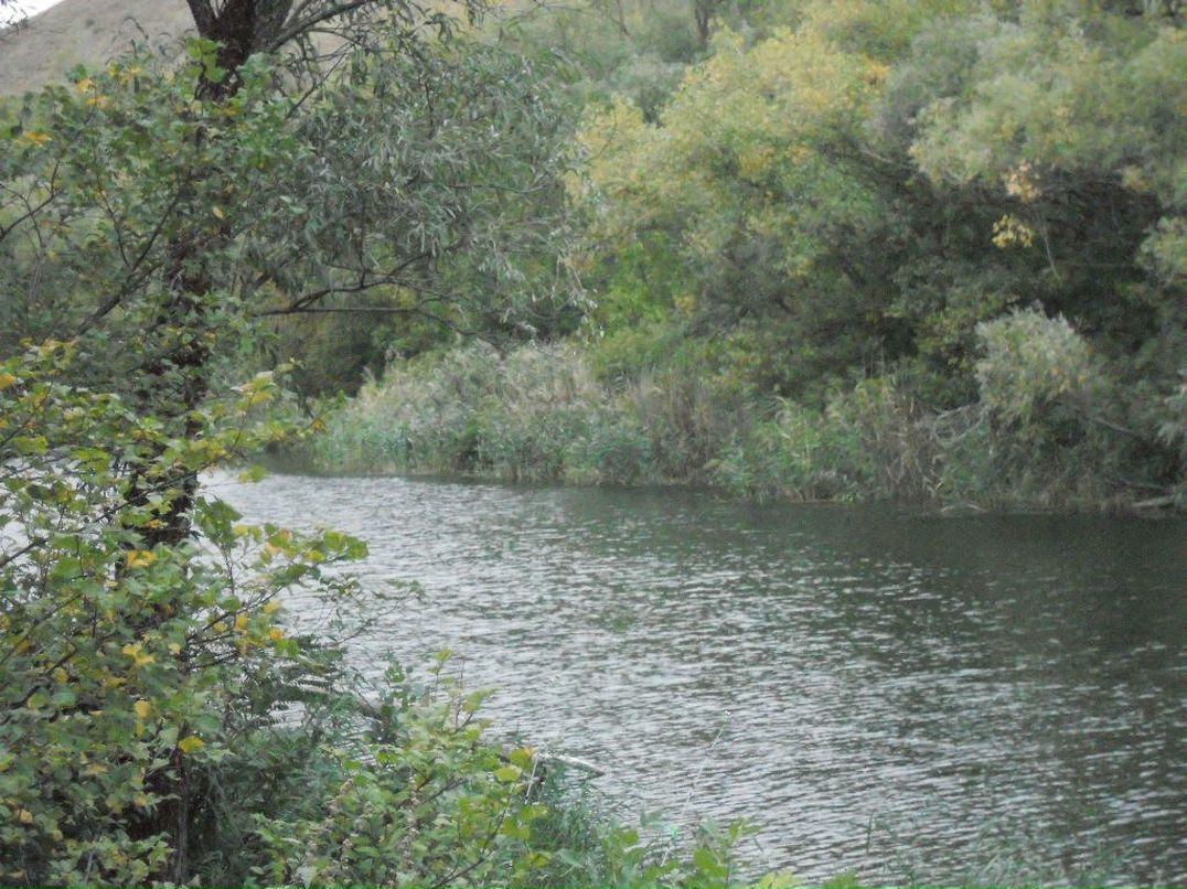 Александр Дедов | Шахты