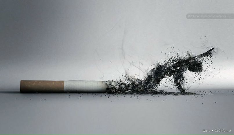 Валера Скрипачев Владимирович | Пермь