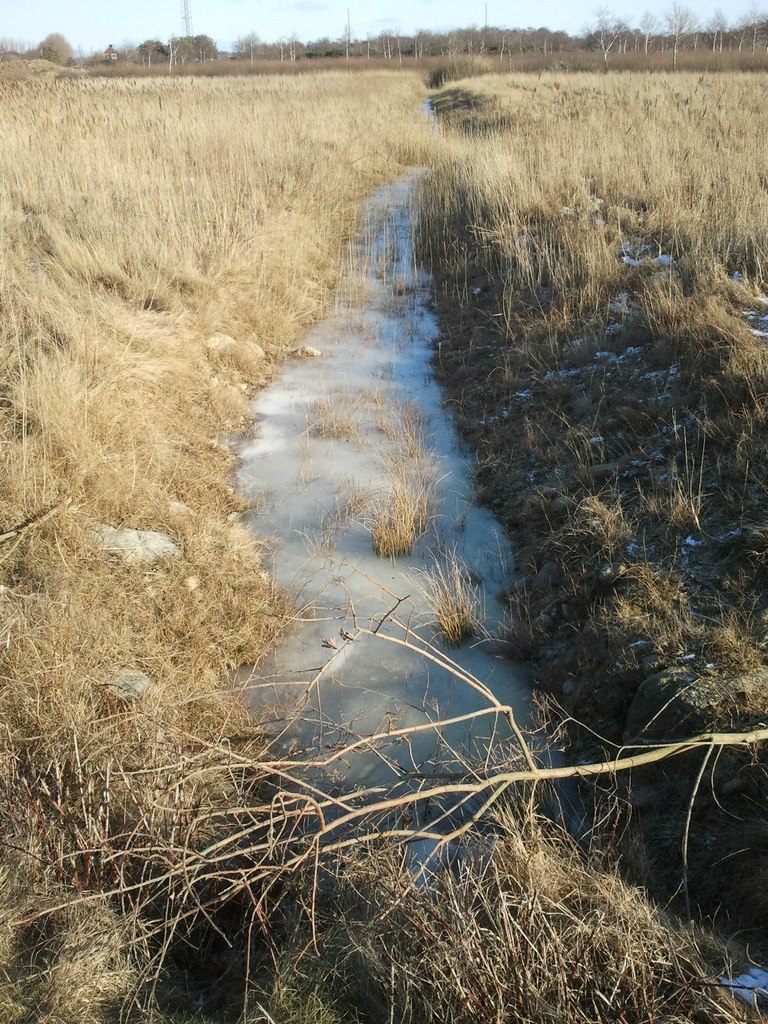 Виталий Демидов | Copenhagen