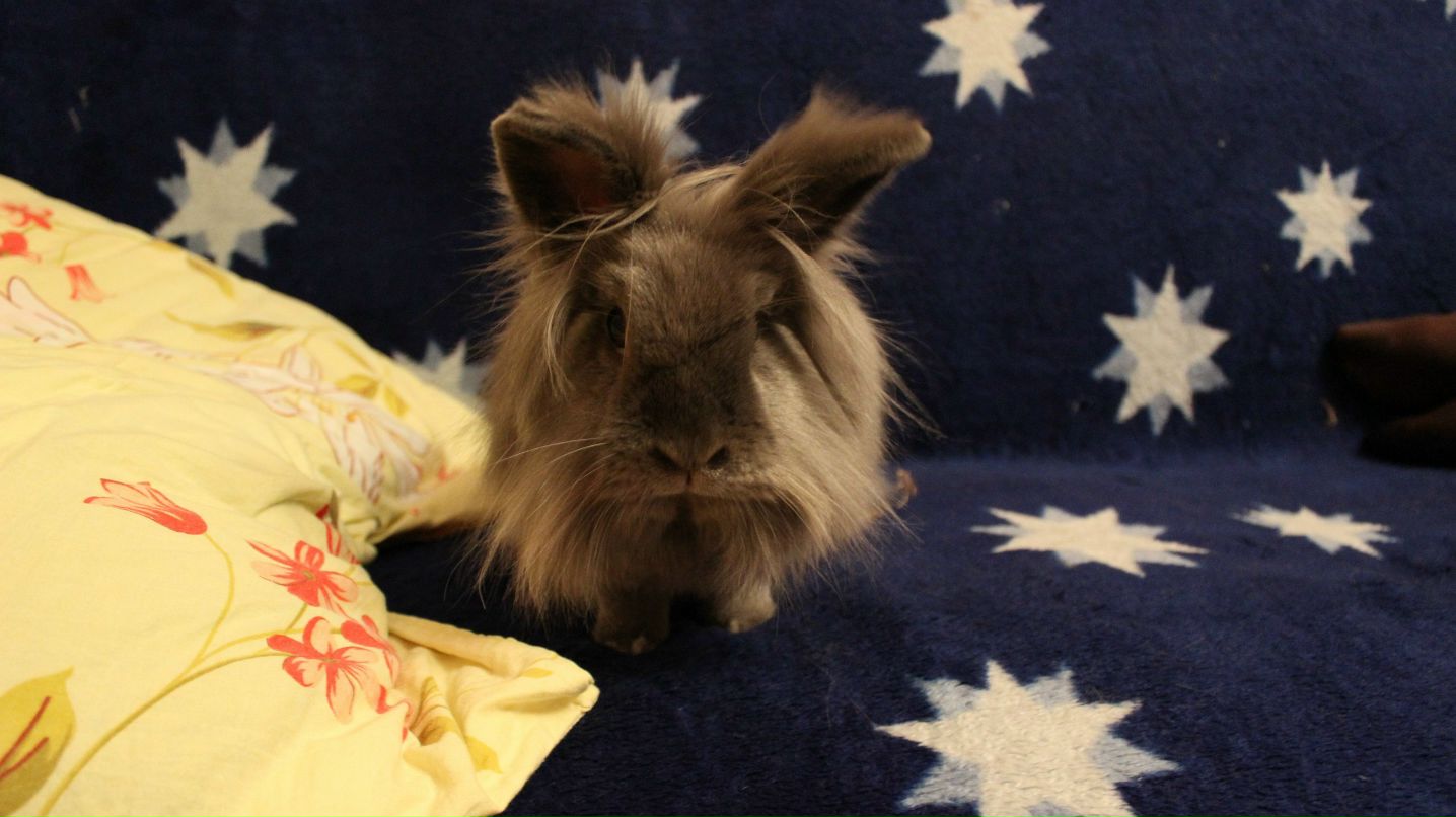 Вениамин Кроль | Санкт-Петербург