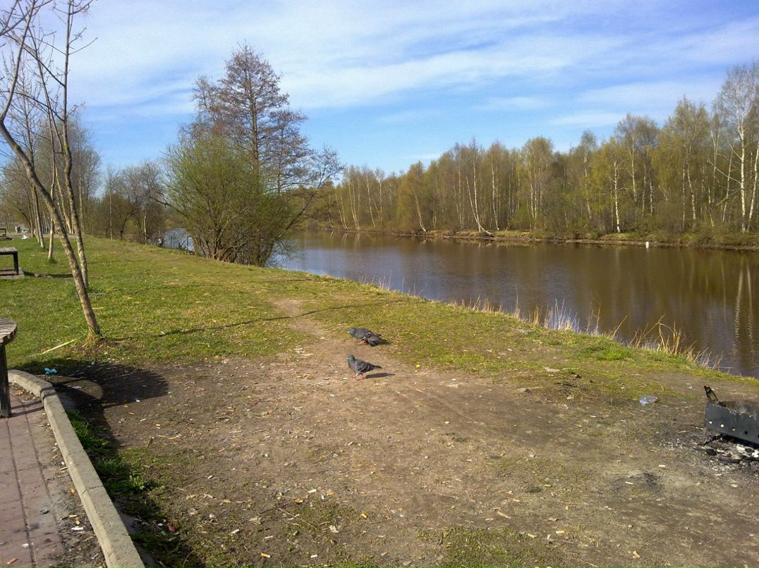Дмитрий Соловьев | Санкт-Петербург